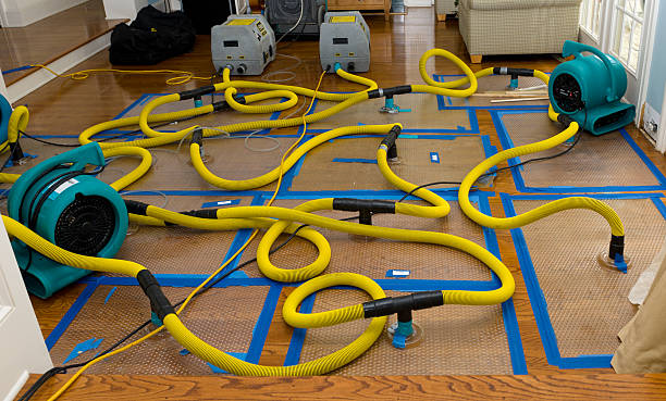 Professional Emergency Water Removal technician working in Wellston, MI