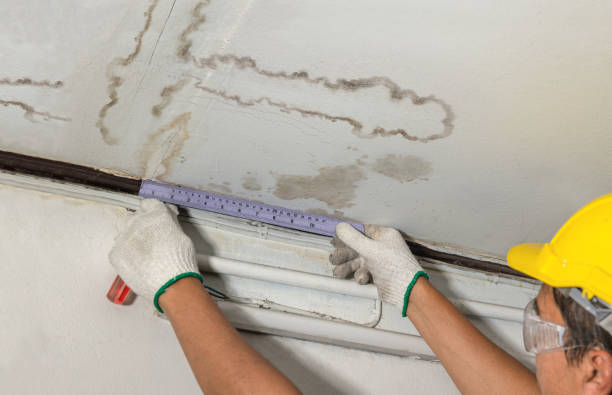 Affordable Water Damage Repair solutions in Wellston, MI